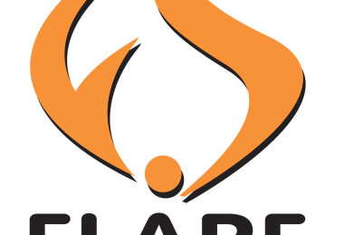 Logo Design for Flare Solutions